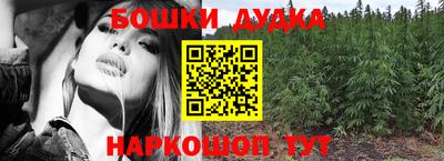 МДПВ Партизанск