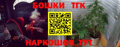 МДПВ Партизанск