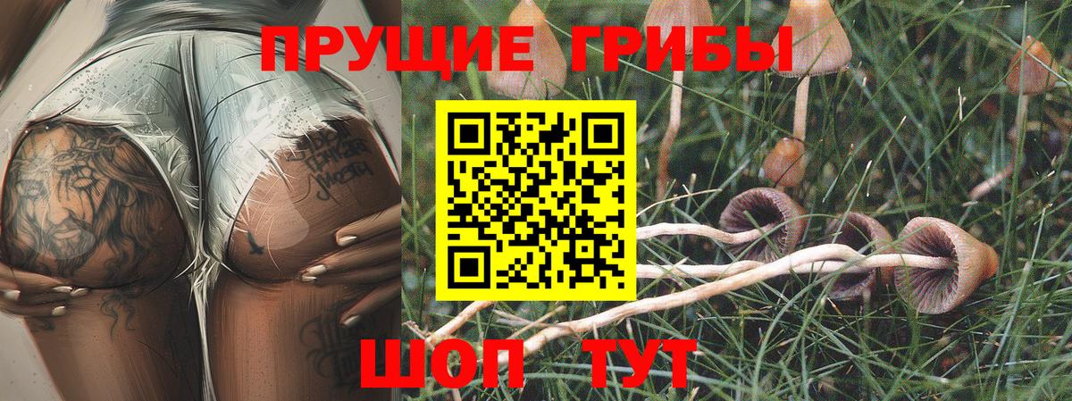 Сланцы  Галлюциногенные грибы мухоморы  Вход с VPN  Псилоцибиновые грибы MAGIC MUSHROOMS 
