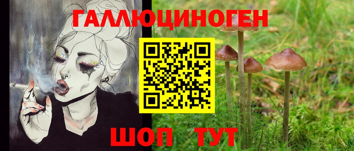 Галлюциногенные грибы Psilocybe Сланцы